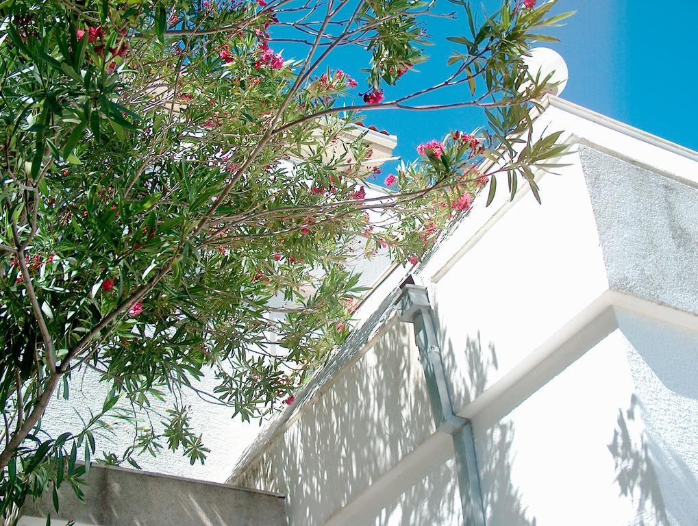 Villa Blanka Donji Okrug  객실 사진