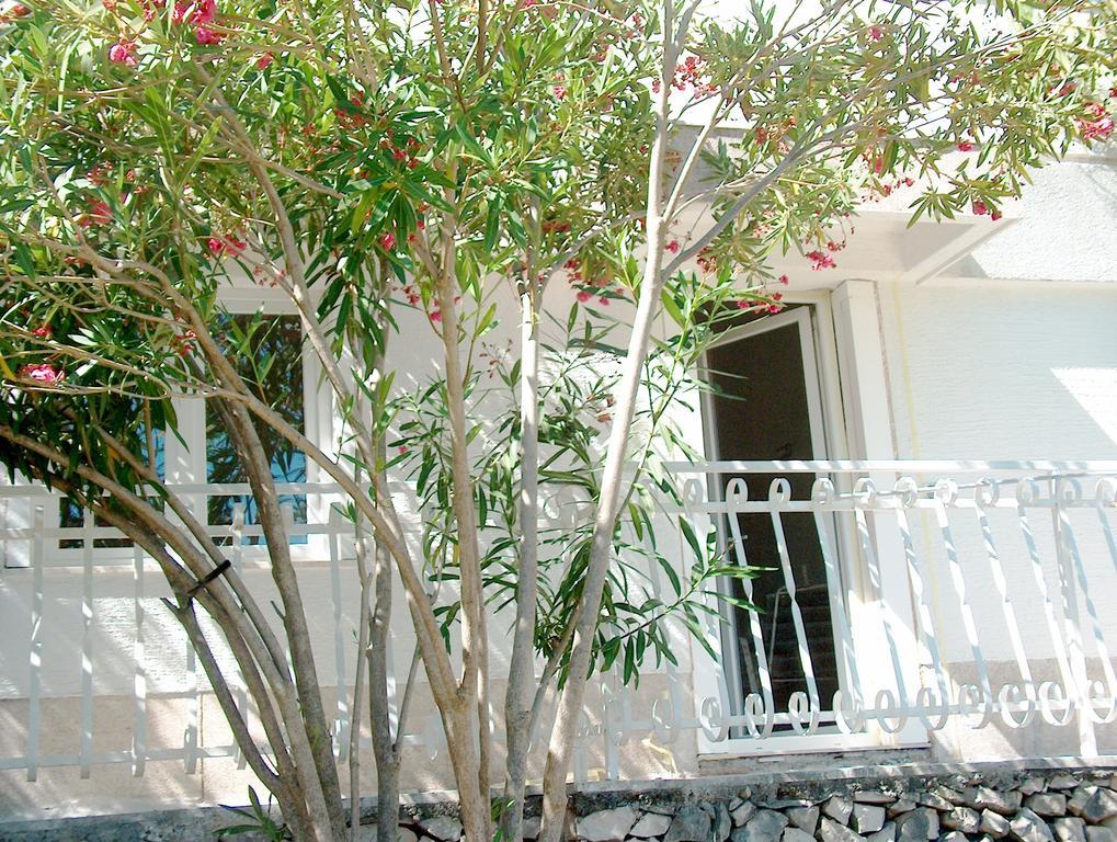 Villa Blanka Donji Okrug  객실 사진